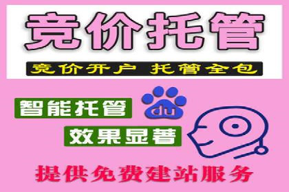 从小白到高手：网站sem托管的进化之路